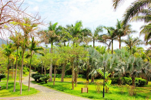 傻婆婆小吃豆腐