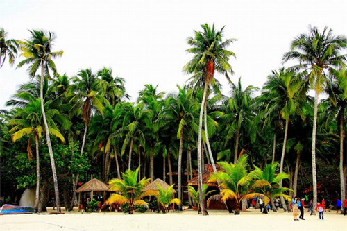 茶壶加盟连锁店排行榜，茶壶专卖店