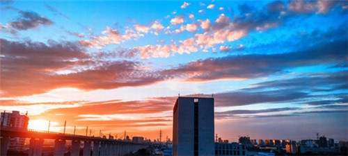 榨油机加盟招商项目有哪些，榨油机经销商