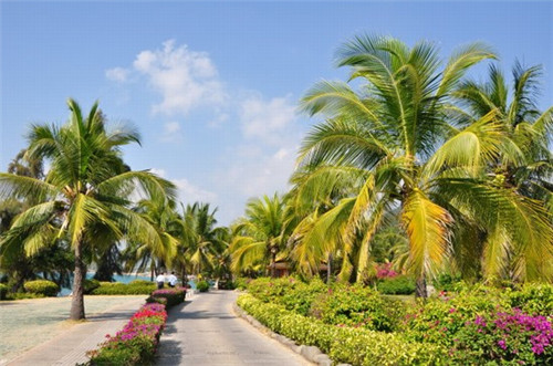 意大利阿玛尼加盟费多少