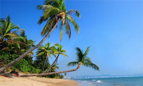 桐乡利华煲店电话，桐乡利华煲店加盟费是多少