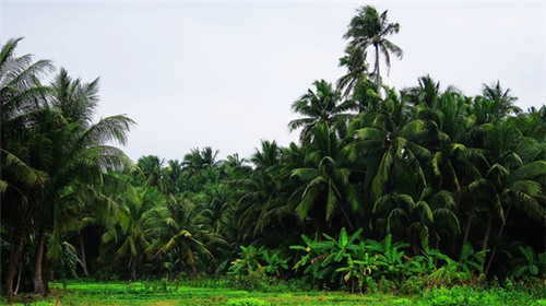 普杜姓氏加一起如何取名字（普在姓氏读什么）