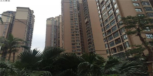 功夫能联机吗手游版（功夫游戏官网）