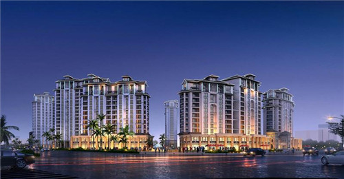 老年猫要怎么补充营养（老年猫补充营养吃什么）