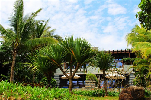 英雄无敌4赞法斯的挑战详细攻略（英雄无敌4赞法斯的挑战详细攻略大全）